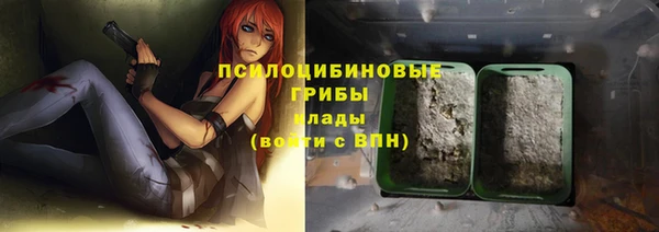 мдпв Арсеньев