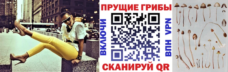 Галлюциногенные грибы GOLDEN TEACHER  Вихоревка 