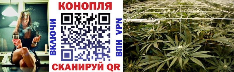 МАРИХУАНА White Widow  продажа наркотиков  Вихоревка 